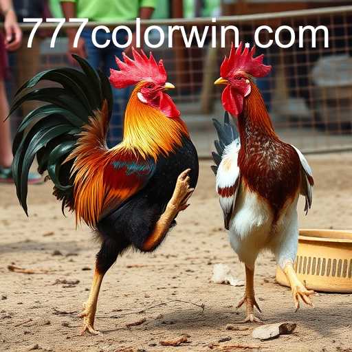 Exploring the World of Sabong Games and the Role of 777color